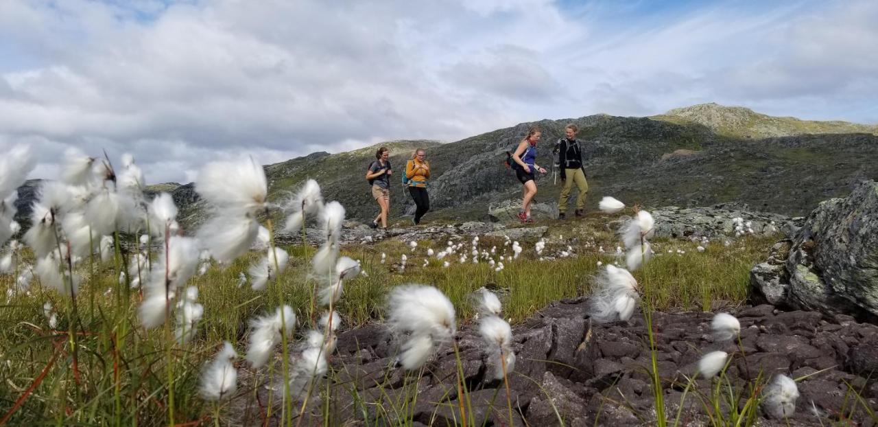Heggjabygda Gjestegard, Nordfjordeid Bagian luar foto